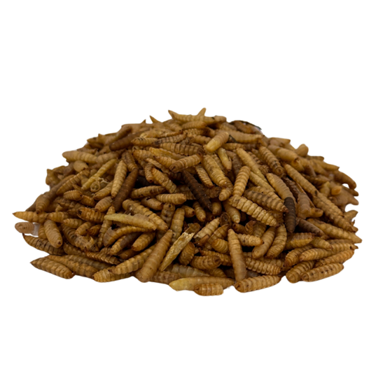 Beaver Brand Grubs 8 lb