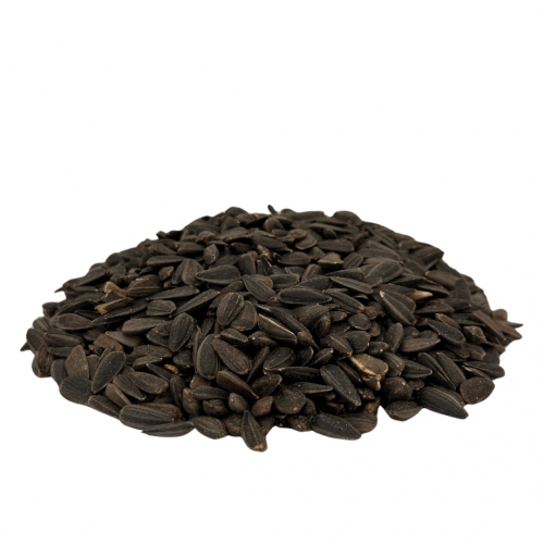 Black Oil Sunflower 40 lb