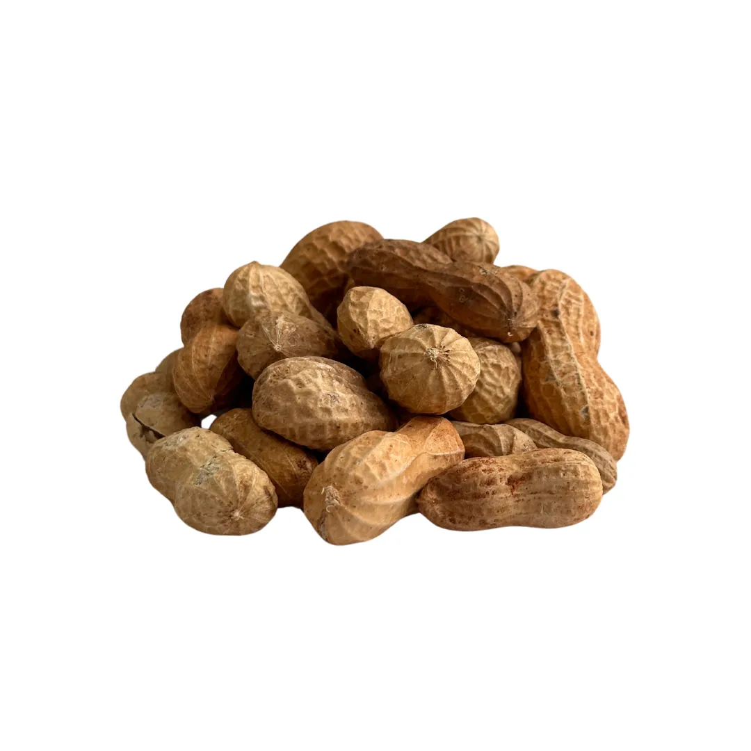 Beaver Brand Peanuts In-Shell 4 lb