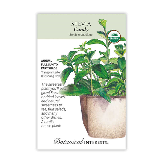 Botanical Interests Candy Stevia Seeds