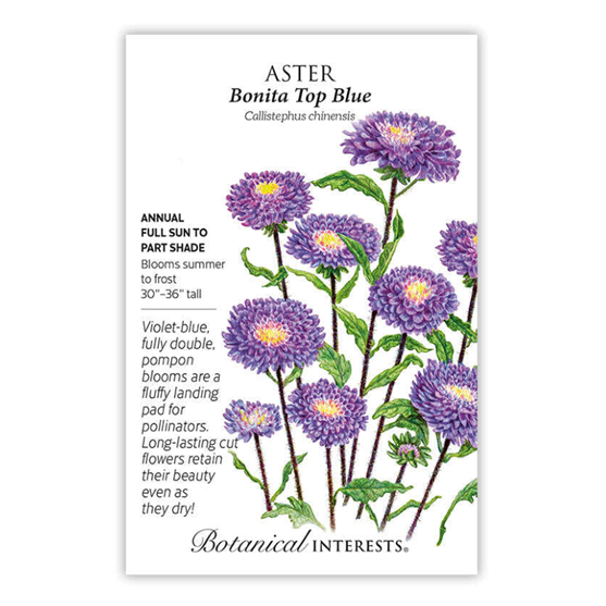 Botanical Interests Bonita Top Blue Aster Seeds