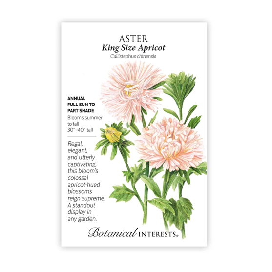 Botanical Interests King Sized Apricot Aster Seeds
