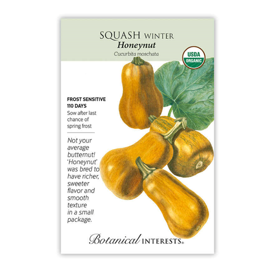 Botanical Interests Honeynut Winter Squash Seeds
