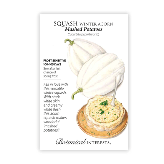 Botanical Interests Mashed Potato Acorn Winter Squash Seeds