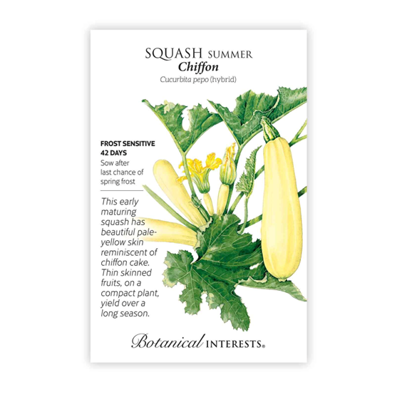 Botanical Interests Chiffon Summer Squash Seeds