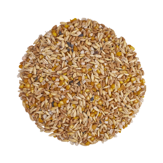 Scratch & Peck Organic Whole Grain Mash Layer Feed 16% 40 lb