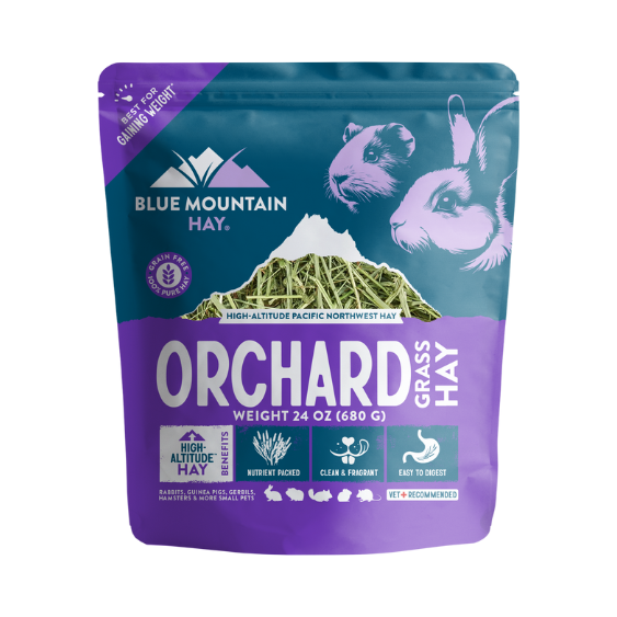 Blue Mountain Hay Orchard Grass Hay 24 oz bag