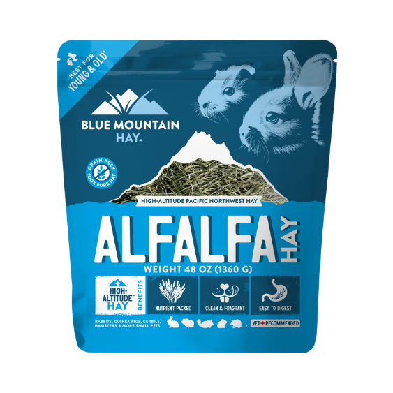 Blue Mountain Hay Alfalfa Hay 48 oz bag