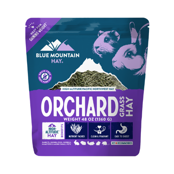 Blue Mountain Hay Orchard Grass Hay 48 oz Bag