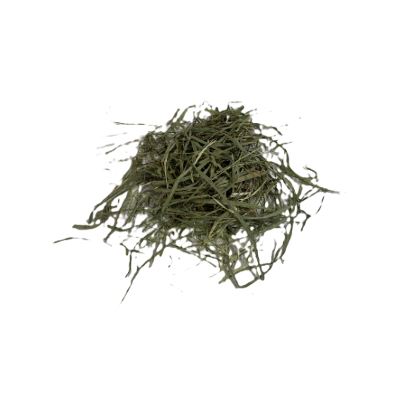 Blue Mountain Hay Timothy Hay 48 oz bag