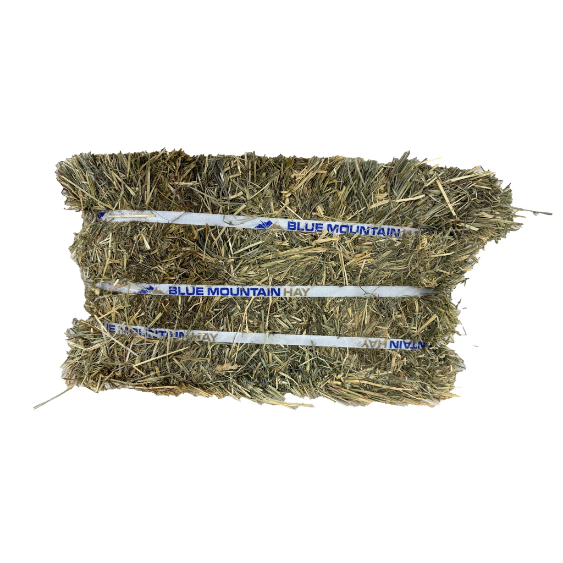 Blue Mountain Hay Organic Meadow Hay Compressed Bale 50 lb