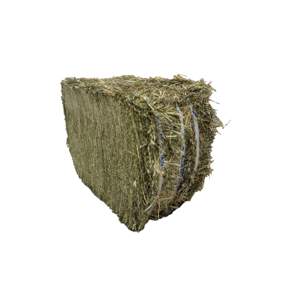 Blue Mountain Hay Organic Meadow Hay Compressed Bale 50 lb
