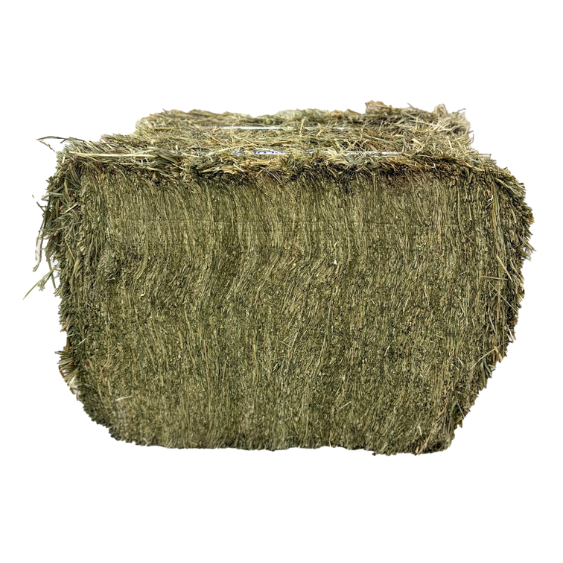 Blue Mountain Hay Organic Meadow Hay Compressed Bale 50 lb