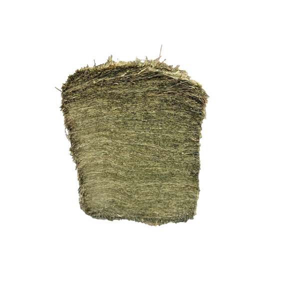 Blue Mountain Hay Organic Meadow Hay Compressed Bale 50 lb