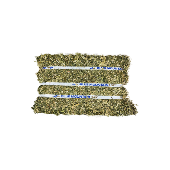 Blue Mountain Hay Organic Alfalfa Hay Compressed Bale 50 lb