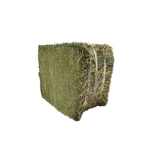 Blue Mountain Hay Organic Alfalfa Hay Compressed Bale 50 lb