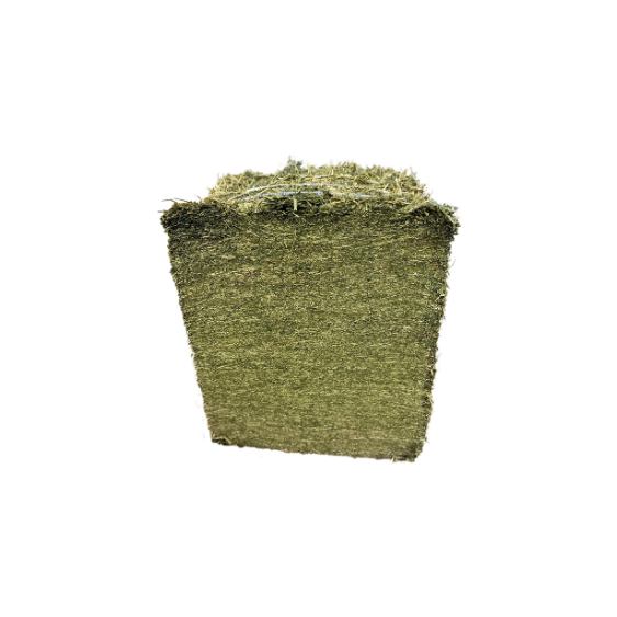 Blue Mountain Hay Organic Alfalfa Hay Compressed Bale 50 lb