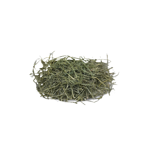 Blue Mountain Hay Teff Hay Compressed Bale 55 lb