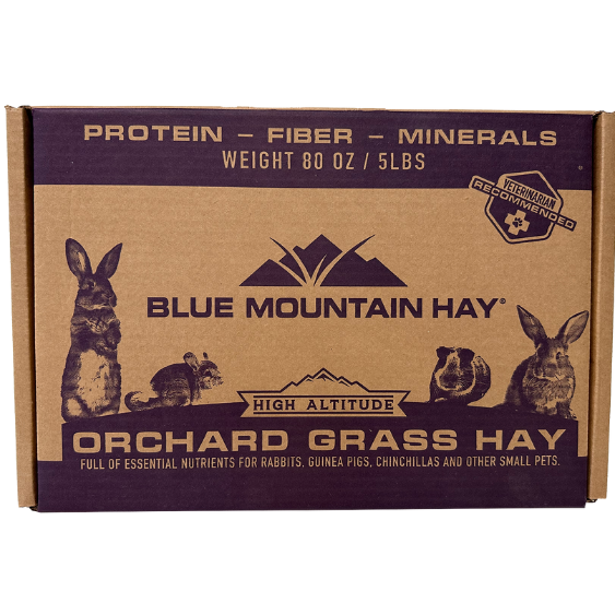Blue Mountain Hay Orchard Grass Hay 5 lb box