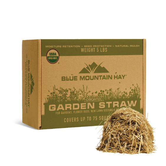 Blue Mountain Hay Organic Garden Straw Mulch 5 lb box