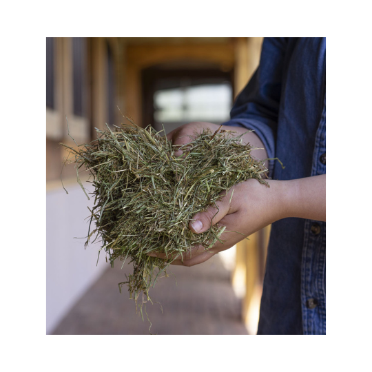 Triple Crown Safe Starch Fortified Forage 40 lb