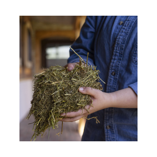 Triple Crown Stress Free Fortified Forage Supplement 40 lb