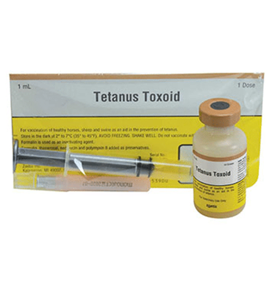 VL Tetanus Toxiod 1 Dose
