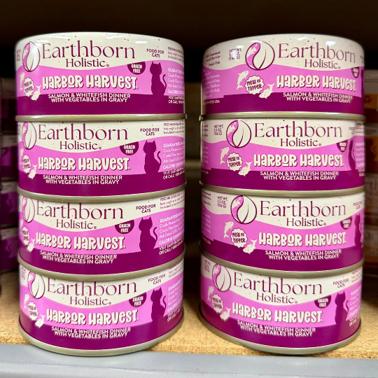 Earthborn Holistic Harbor Harvest 3 oz Canned Cat Food 