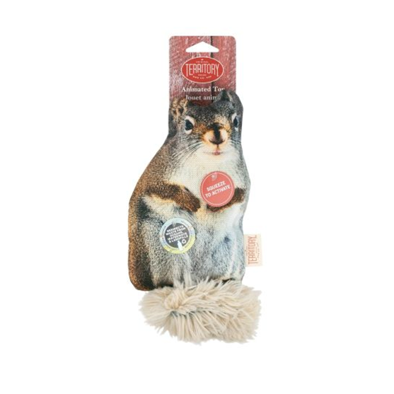 Territory Squirrel Flopper Dog Toy