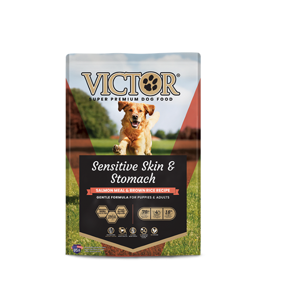 Victor Sensitive Skin & Stomach Salmon 5 lb Dog Food 