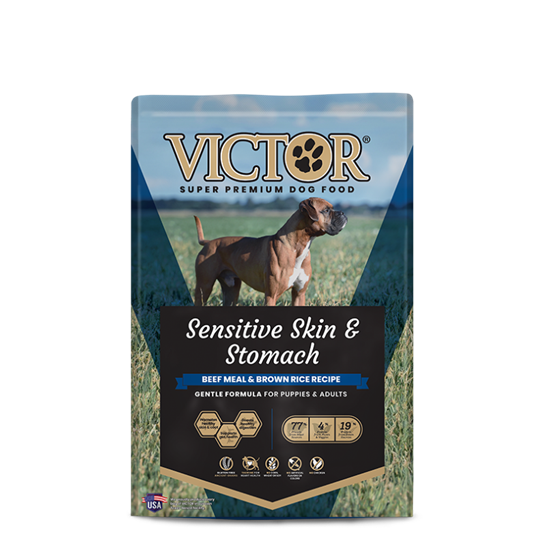 Victor Sensitive Skin & Stomach Beef 5 lb Dog Food 