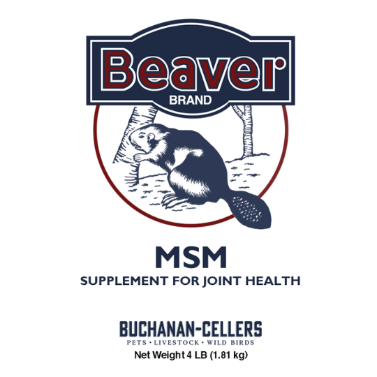 Beaver Brand MSM, Joint Supplement for Horses 4 lb