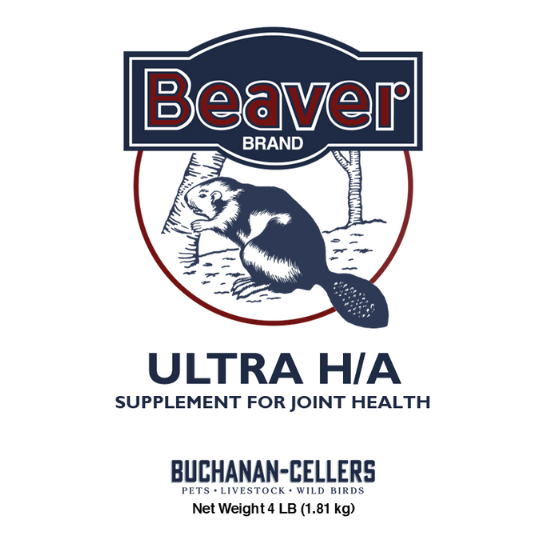 Beaver Brand Ultra H/A, Joint Supplement for Horses 4 lb