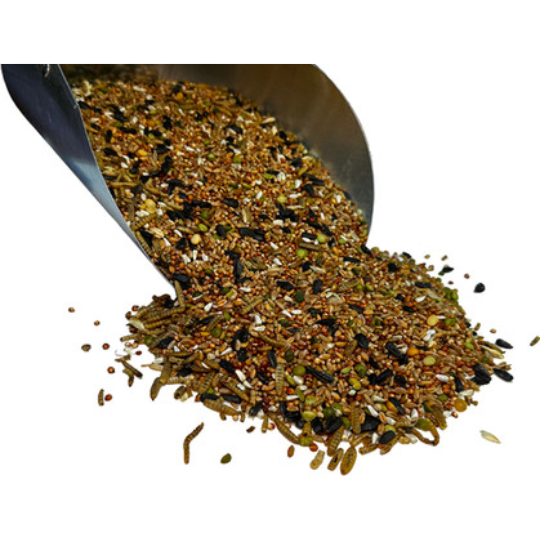 Bar Ale 6 Way Party Pak 10 lb