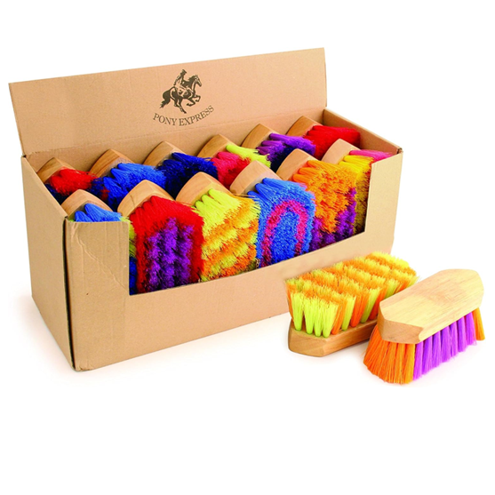Desert Equestrian Ponyexpress Brush 6 1/4"  Assorted Colors