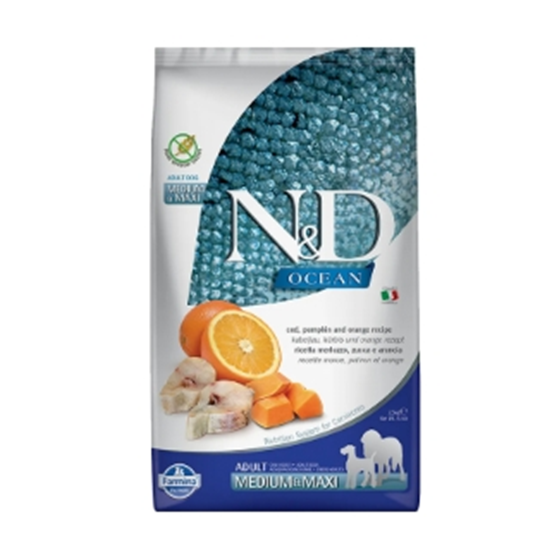 Farmina N&D Grain Free Ocean Cod, Pumpkin Medium & Max Adult 5.5 lb Dog Food