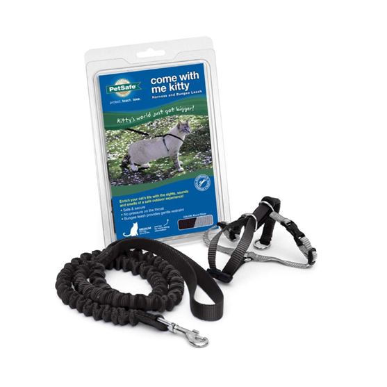 PetSafe Come With Me Kitty Harness and Bungee Leash Combo Medium