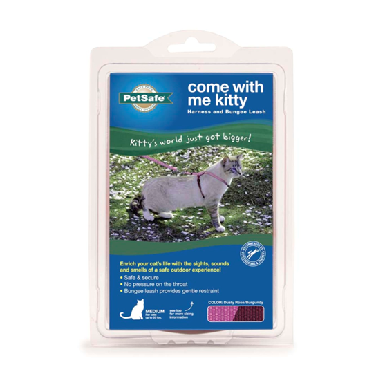 PetSafe Come With Me Kitty Harness and Bungee Leash Combo Medium