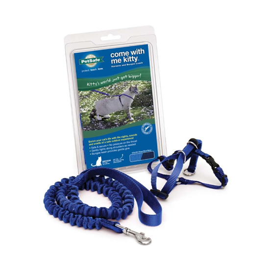 PetSafe Come With Me Kitty Harness and Bungee Leash Combo Medium Blue/Navy