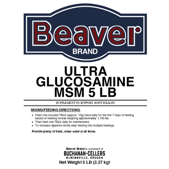 Beaver Brand Ultra Glucosamine/MSM, Joint Supplement for Horses 5 lb