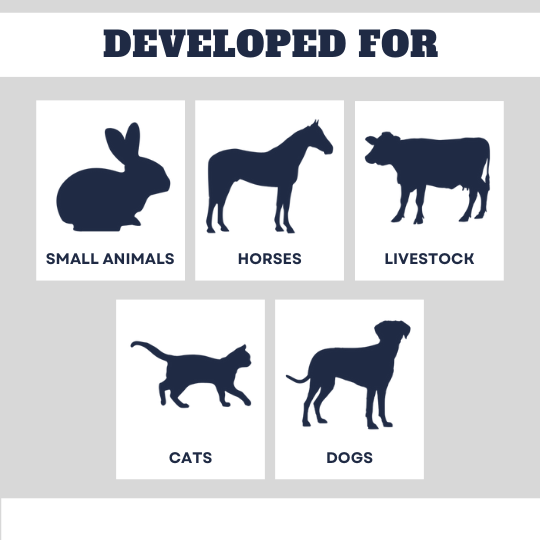 Beaver Brand Rebound Paste, All Breed Immune System Supplement  300 gm