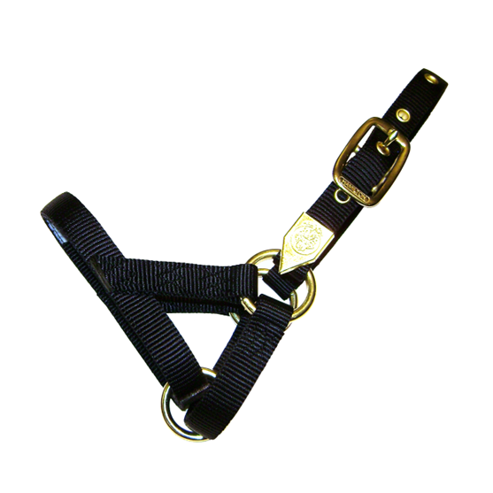 Hamilton Llama Halter Large Adult Assorted