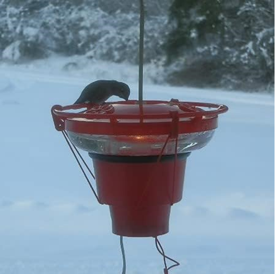 Hummer Hearth Hummingbird Feeder Heater