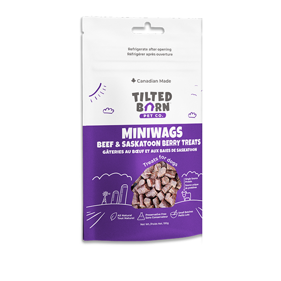 Tilted Barn Pet Company Mini Beef and Saskatoon Berry Dog Treats 3.5 oz