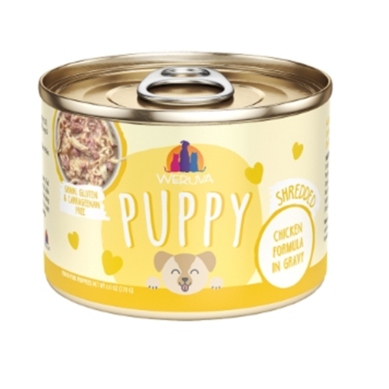 Weruva Grain Free Chicken Formula in Gravy Puppy Canned Dog Food 6 oz