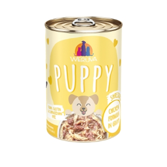 Weruva Grain Free Chicken Formula in Gravy Puppy Canned Dog Food 14 oz