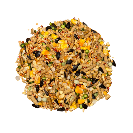 Beaver Brand Whole Grain Poultry 18% 10 lb