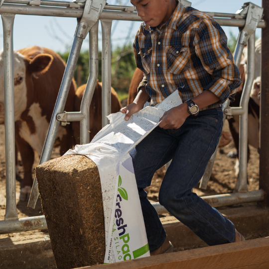 FreshPac Alfalfa 50 lb