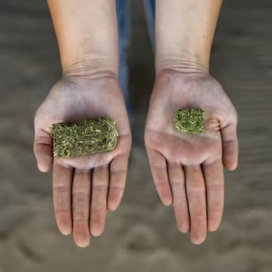 Standlee Timothy Cubes 40 lb