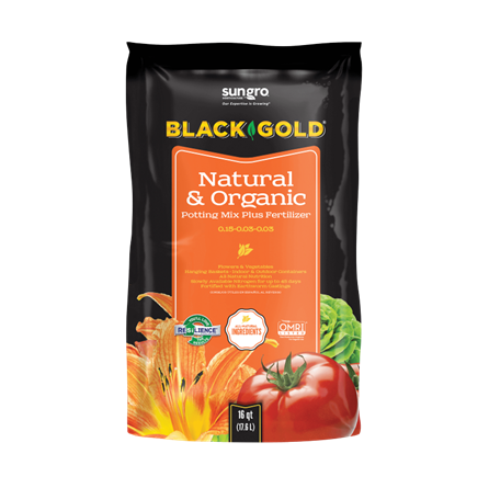 Black Gold Natural & Organic Potting Soil 16 QT